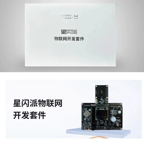 潤(rùn)和軟件攜“星閃”“鴻蒙”產(chǎn)品亮相FCES2024未來(lái)計(jì)算機(jī)教育峰會(huì)，引領(lǐng)軟件開發(fā)新趨勢(shì)